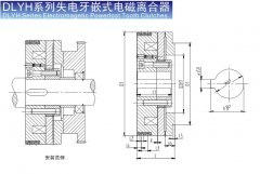  DLYH失电牙嵌式电磁离合器